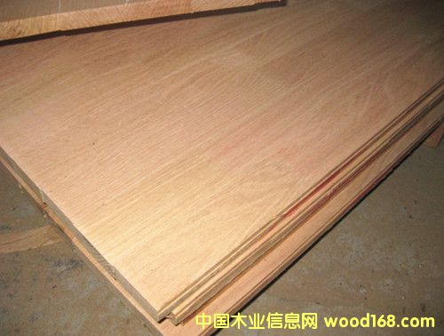 ����(gu��)�t��ָ�Ӱ�