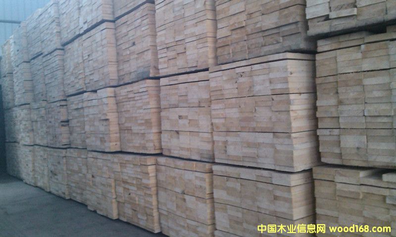 ����ɼ���