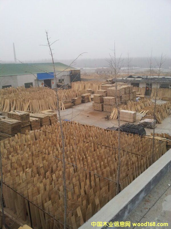 �M(j��n)�ښW����������вĵذ�����Ԕ��(x��)��B