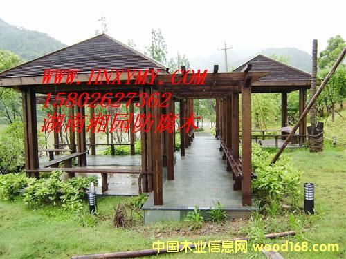 �Lɳ����ľ��ͤ��Ԕ��(x��)��B