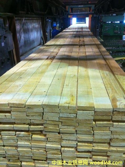 ����ɼ�бP���b��