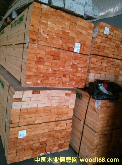 ����masisaݗ����