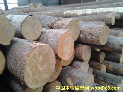 ԭľ��Ԕ����B