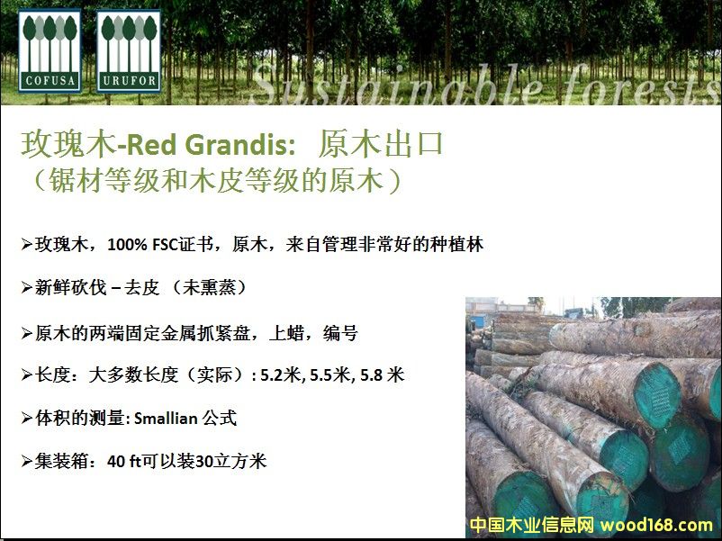 ��������ľ-õ��ľԭľ��Ԕ��(x��)��B