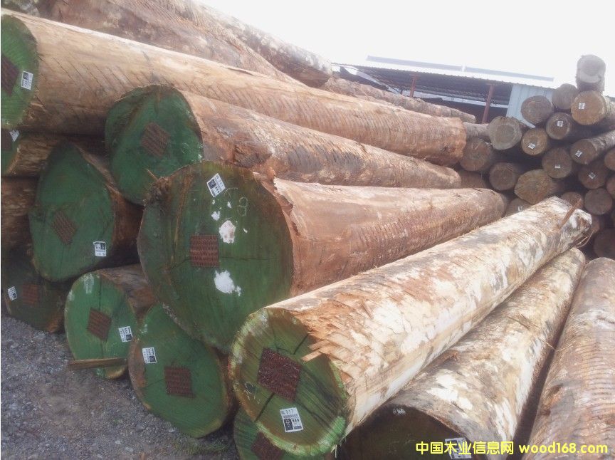 ��������ľ-õ��ľԭľ��Ԕ��(x��)��B