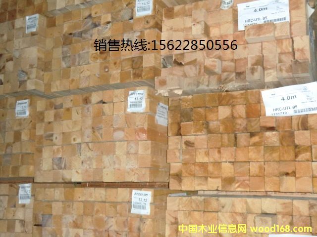 �Fɼ��Ԕ��(x��)��B