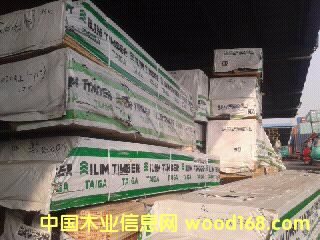 [��] �����ɼҾ�ľ�Č�(zhu��n)�u(m��i)��(ch��ng)