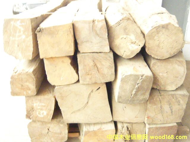 ��֦ľ��Ԕ��(x��)��B