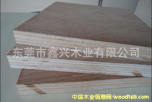 ����(y��ng)�һ�о�A��