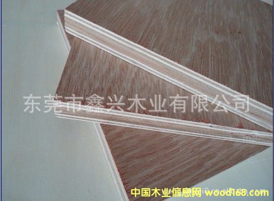 ����(y��ng)�һ�о�A��