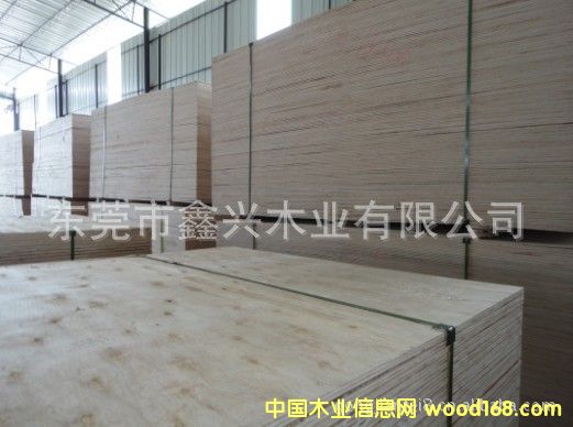 ����(y��ng)ɳ�l(f��)����Ӱ�