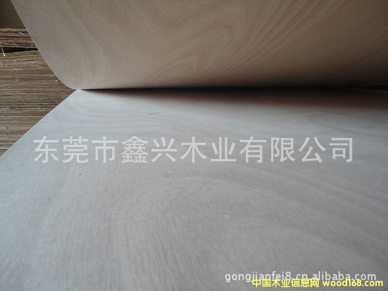 ����(y��ng)�W�����N����Ӱ�