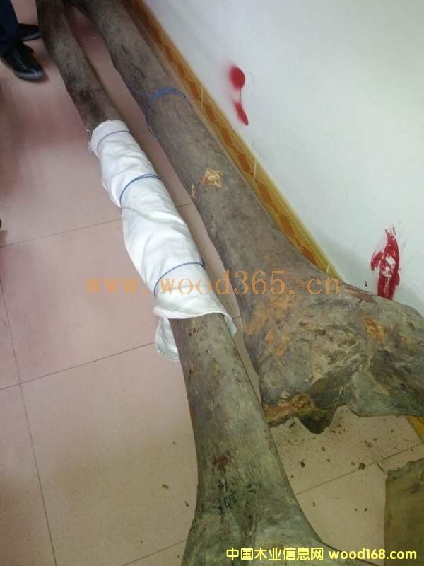 �����S�����Ԕ��(x��)��B