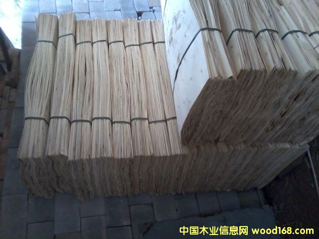 楊木皮的詳細(xì)介紹