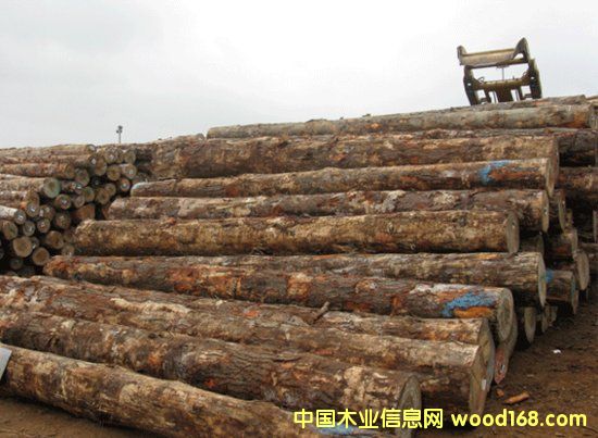 ݗ���ɵ�Ԕ��(x��)��B