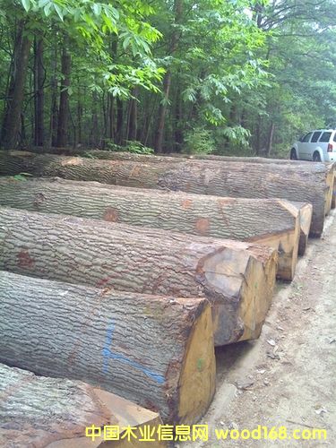 ��ľԭľ��Ԕ��(x��)��B