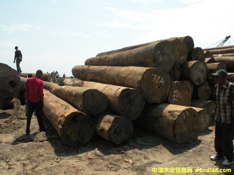 ������ľ��Ԕ����B