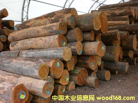 �ں����M�ڈ��P|�ں����M������|�ں����M�ڕr�g