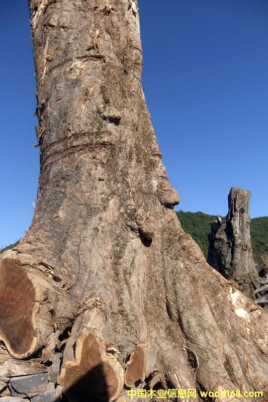 �ľ��Ԕ����B