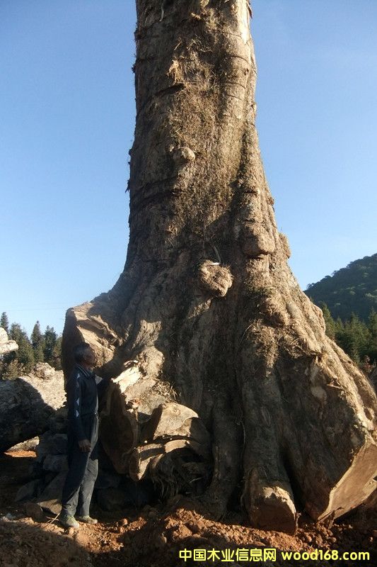 �ľ��Ԕ����B