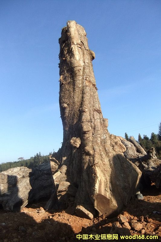 �ľ��Ԕ����B