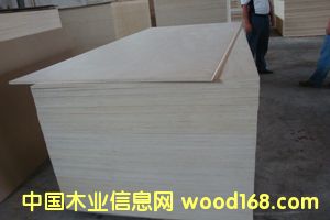 �W�����z�ϰ�