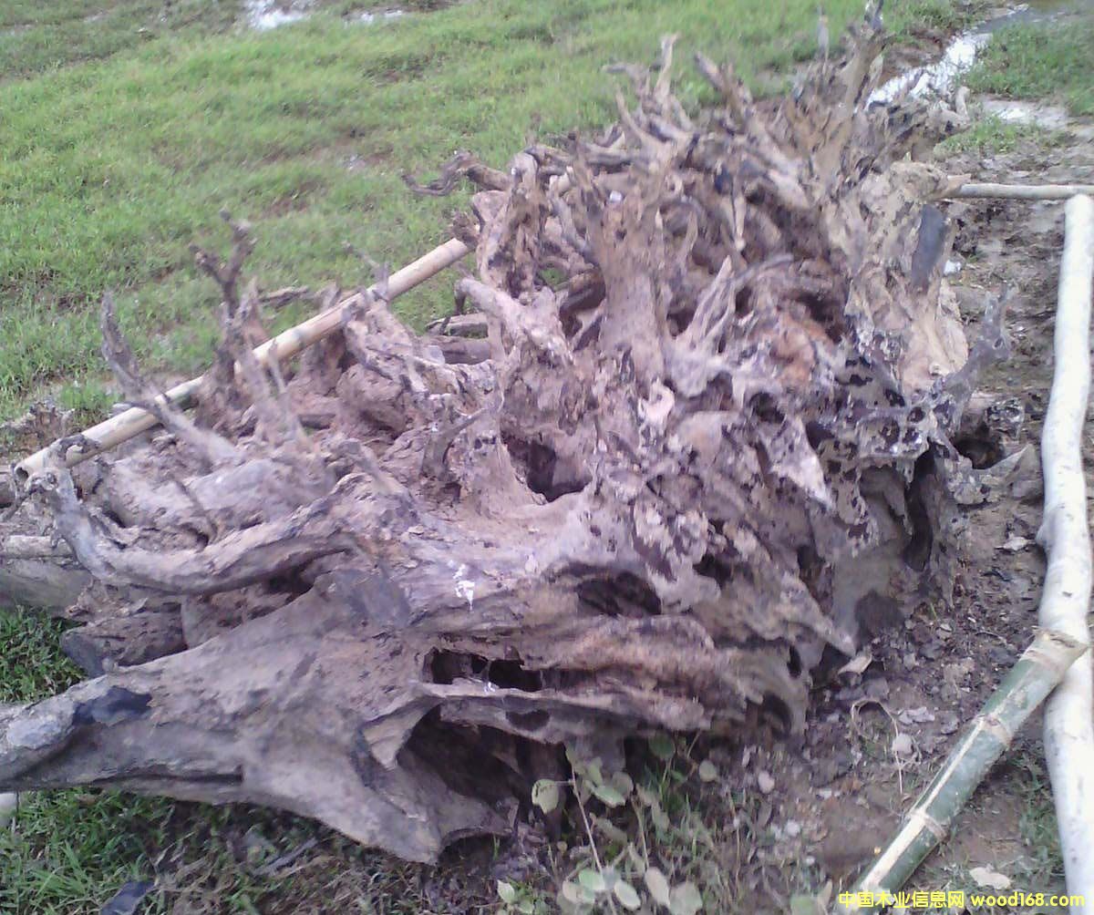 ˮ��ꎺ��F��ľ�^��Ԕ��(x��)��B