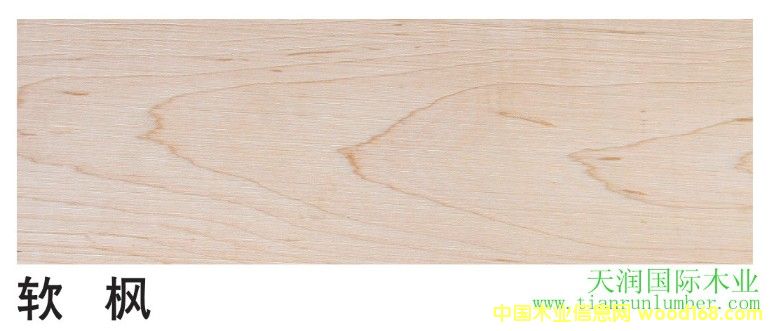 ܛ����Ԕ����B