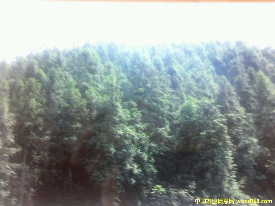 �����ֵ�