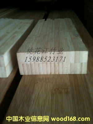 竹的詳細(xì)介紹