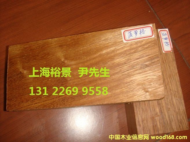 ���޲��}���Ԕ��(x��)��B