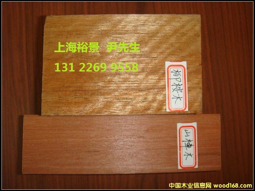 ����ľ��Ԕ��(x��)��B