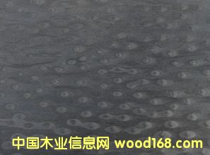 E.V��؈��-960