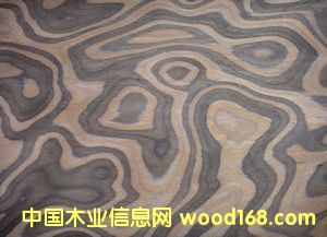 E.V��֦��(sh��)��-916