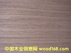 E.V�ں���-204