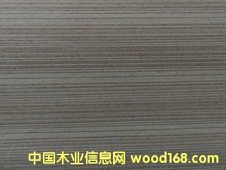 E.V����-2601