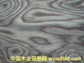 E.V�\�Ҙ�(sh��)��-906