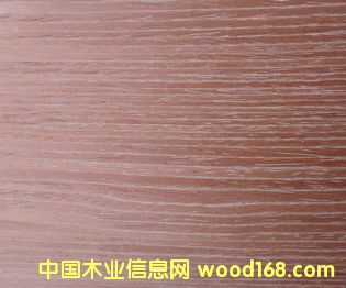 E.V��ľϴ��-54