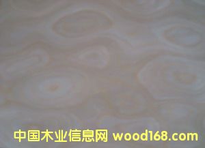 E.V�����(sh��)��-904