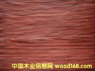 E.V�tɫ����-838c