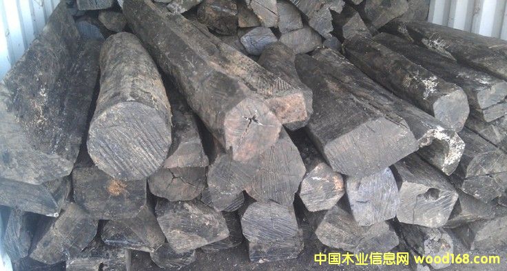 厚瓣烏木的詳細(xì)介紹