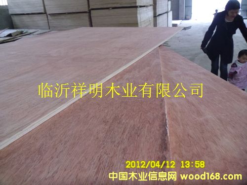 [��] �����z�ϰ�S�Ҽ�ֱ�N�h(hu��n)���zE0���e�Ҿ߰壬���b��