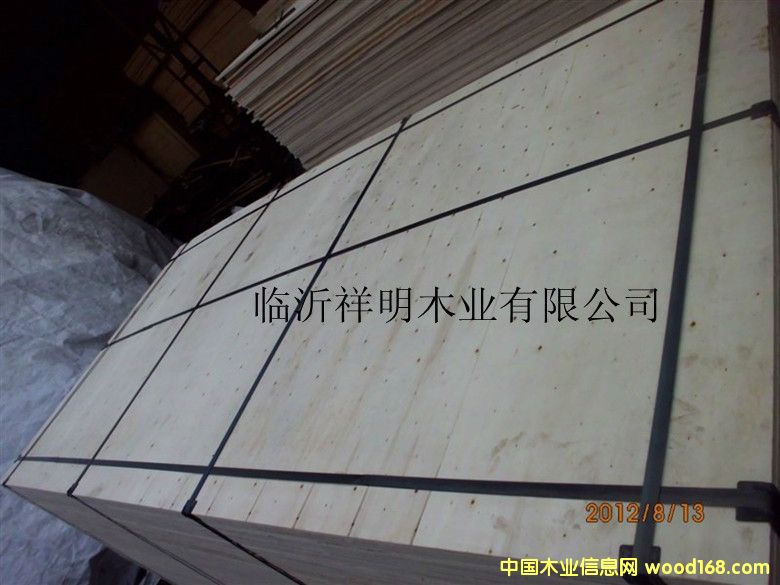 [��] �z�ϰ�12����b���бP��Ҿ߰�