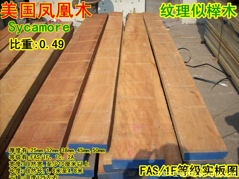 ������ͩľ��Ԕ��(x��)��B