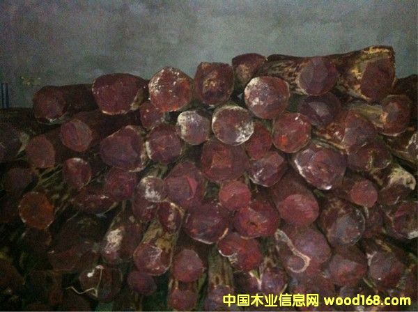 ӡ��С�~��̴