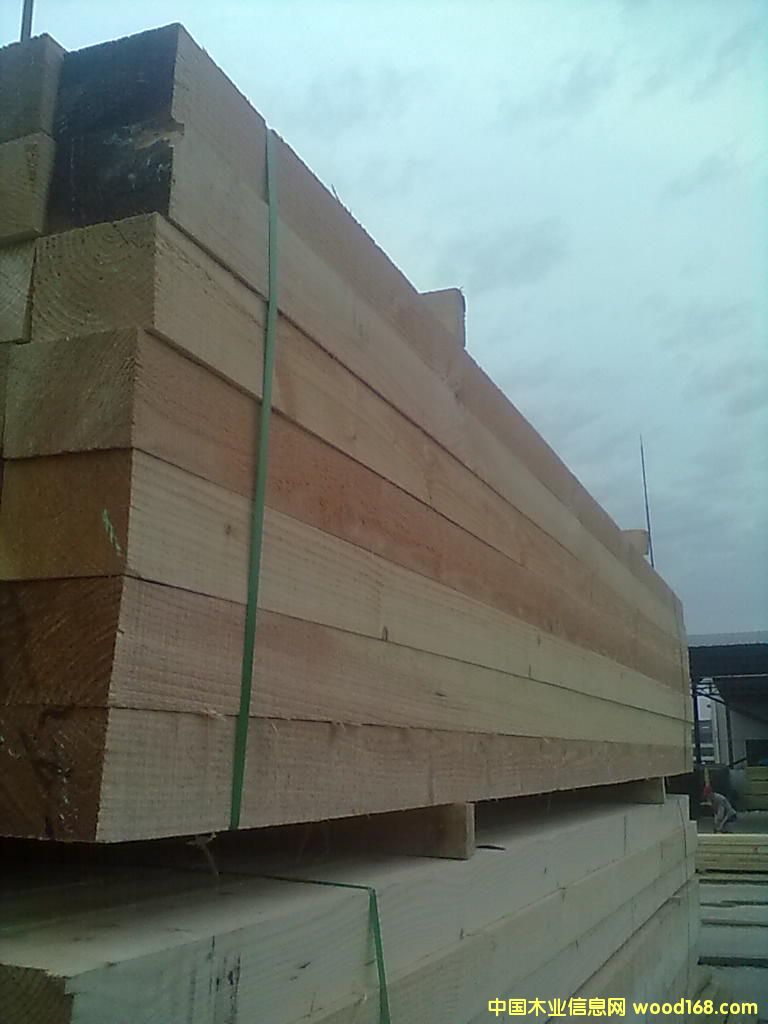 ������ľ��