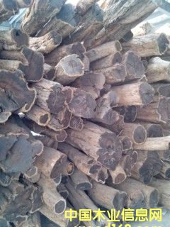 烏木的詳細介紹