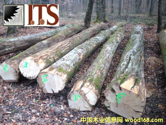 ǧ���ܣ��Z������ԭľ��Ԕ��(x��)��B