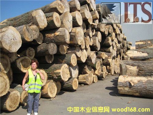 �W���M(j��n)�ڗ�ľԭľ