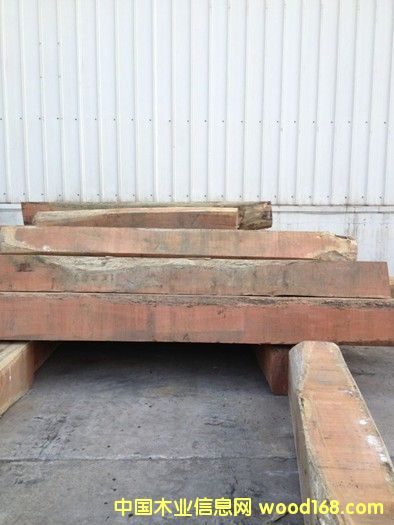 �����S���t̴